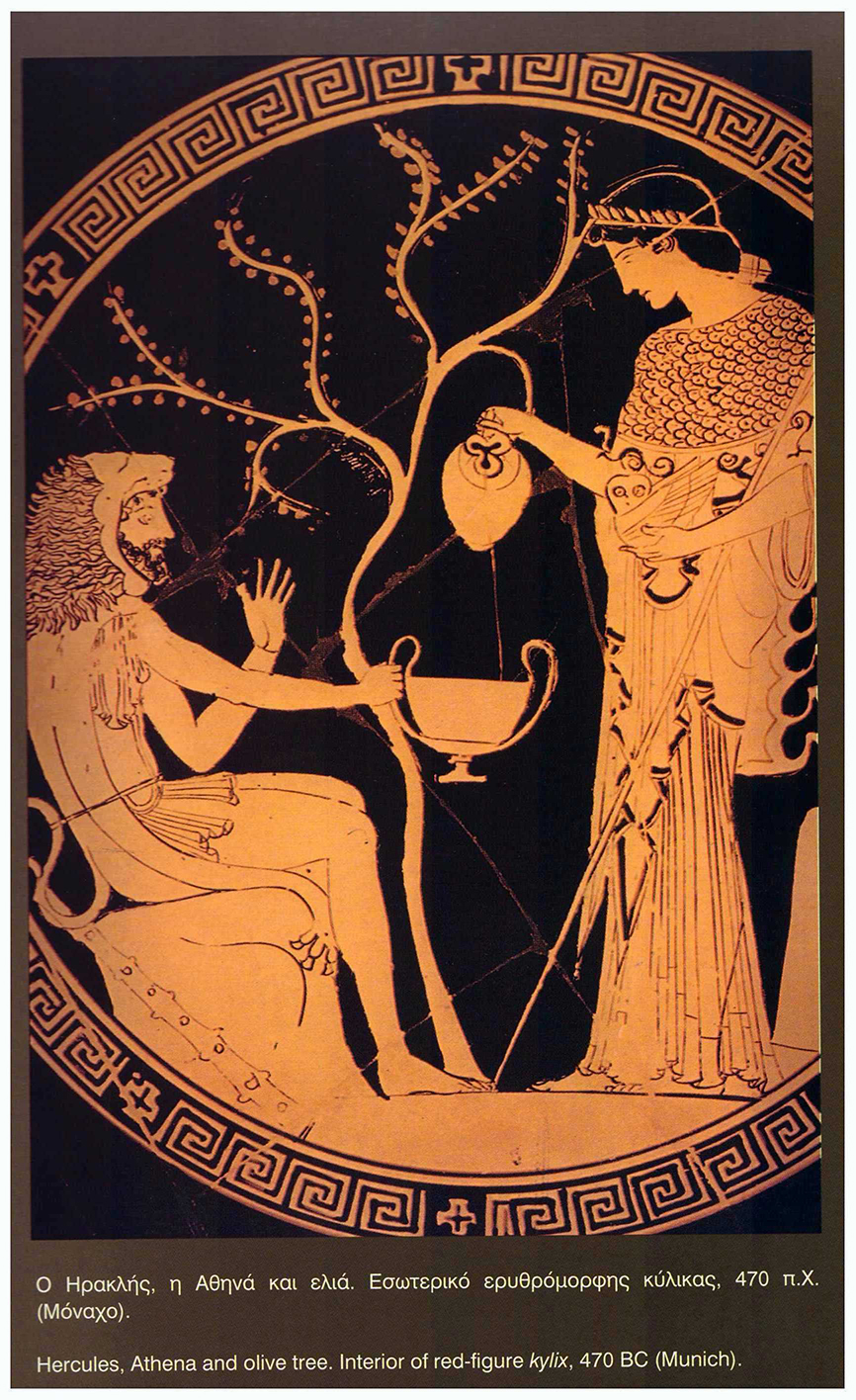 The Olive Tree (Mythology) – Gold Grelia